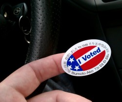 I voted multilingual